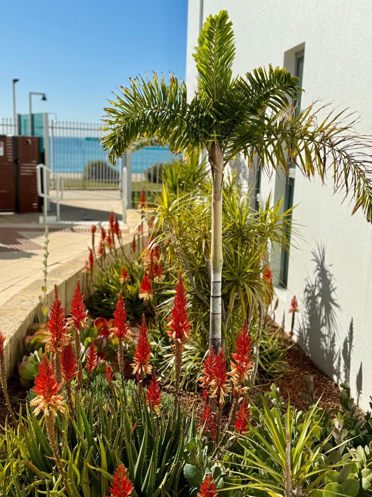Tempel By The Sea Apartamento Mandurah Exterior foto